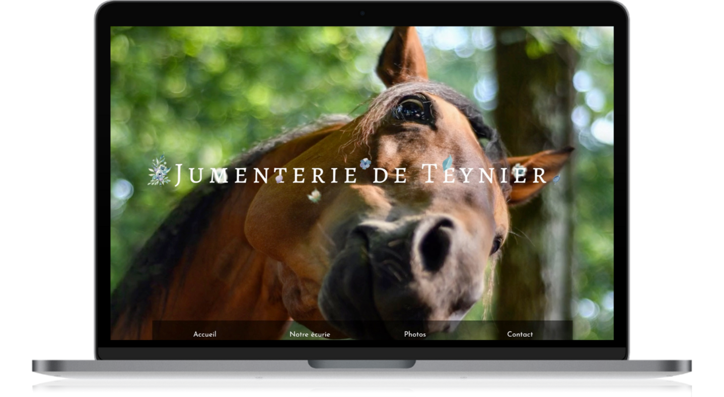 Création de site internet pour écurie